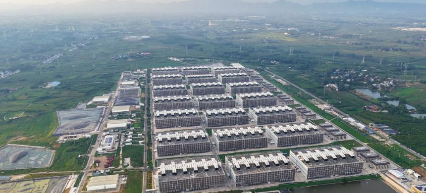 中国经济样本观察·企业样本篇丨“数”养千万猪——解锁牧原股份的“智”变密码