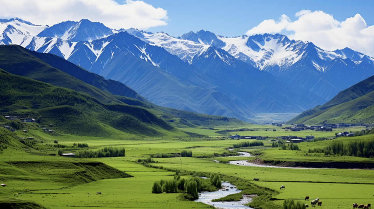 新时代乡村全面振兴样本——新城西门村调查