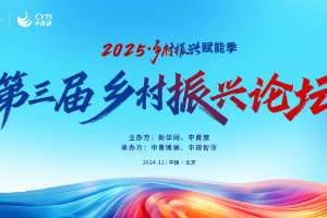 夕阳下起飞 画面超美