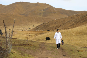 夕阳下起飞 画面超美