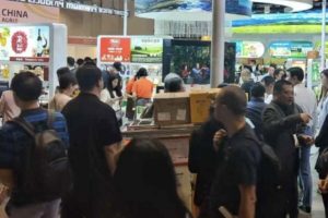 展销直播一体 电商基地助农有一套