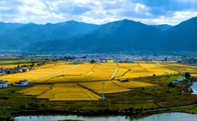 邀请参加中国农民丰收节2025“土特产”集中推介活动公告