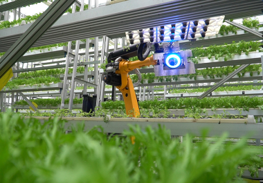 2025年全国中小学科学教育工作推进会暨全国中小学科学教育实验区、实验校建设工作会召开