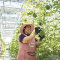 产业之星：王淑芬