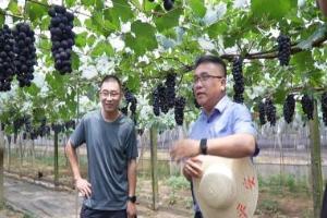 智慧农业动能强劲启新程