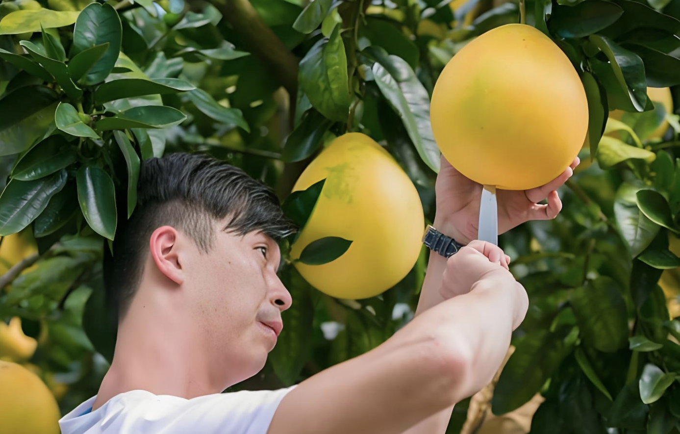 农业农村部党组召开会议强调 深入学习贯彻习近平总书记重要讲话精神 努力推动农业农村发展实现新提升