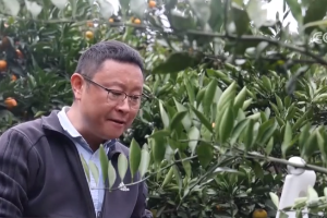 “土特产”变“金招牌”撬动农文旅消费 书写乡村振兴“特色答卷”