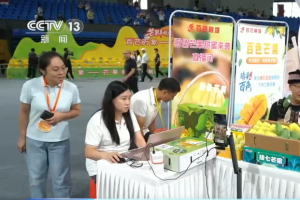 “桐柏U礼”惠农5000余户 助农销售超500万