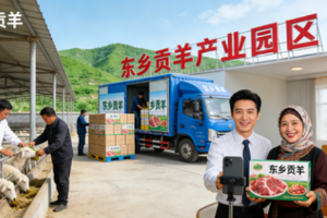 从‘输血’到‘造血’：碧桂园与甘肃东乡的产业扶贫资源对接样本